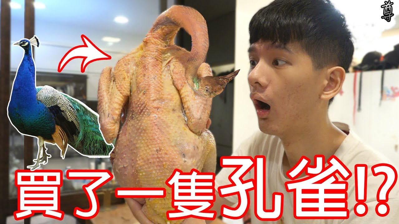 【尊】我買了一隻孔雀來吃吃看啦!!!??
