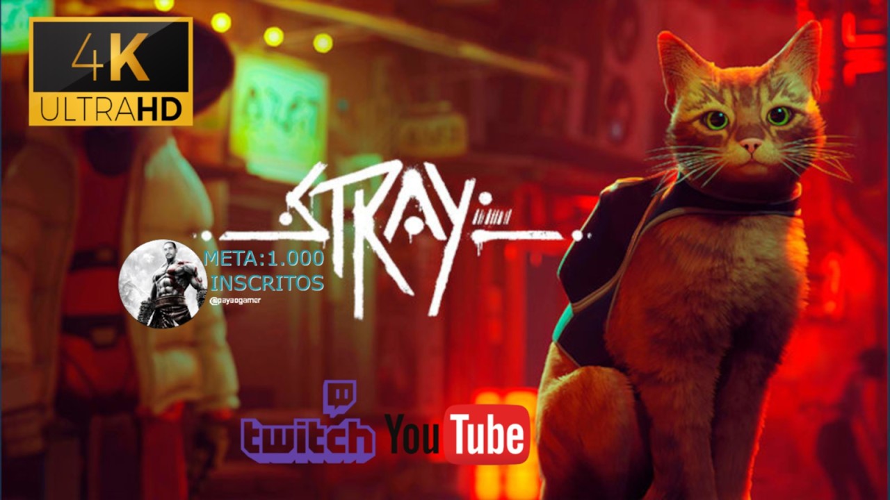 Eu Acho Que Vi Um Gatineo | Stray ( 2022 ) | 2160p 4k | PC
