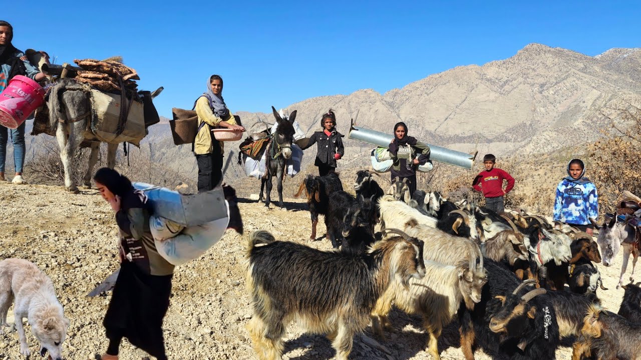 Taking refuge in a cave for survival|Forced migration of nomadic girls to survive the harsh winter❄️