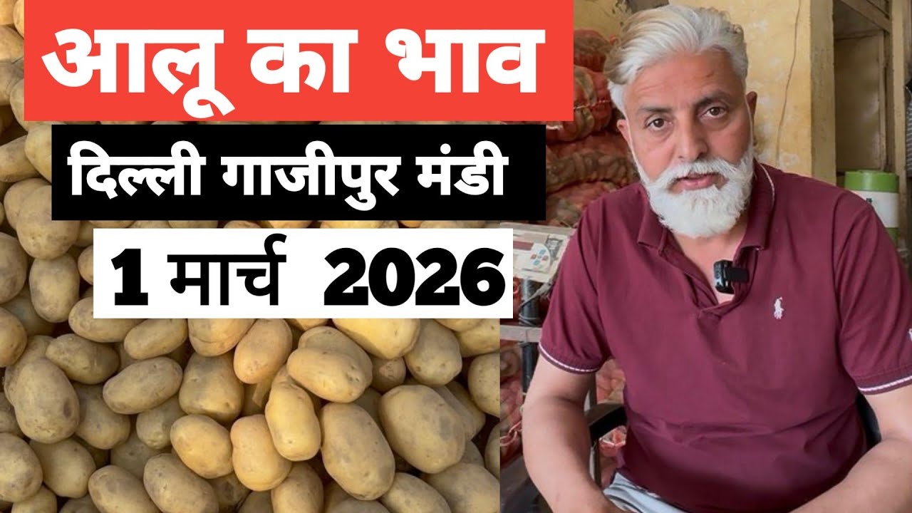 1 March 2026 🥔 आलू का भाव दिल्ली ग़ाज़ीपुर मंडी ॥ Potato Rate in Ghazipur Mandi ॥ Bharat ke Bazar