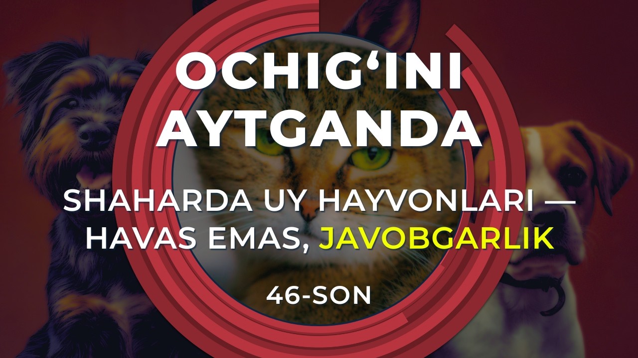 OCHIG‘INI AYTGANDA:  Shaharda uy hayvonlari — havas emas, javobgarlik