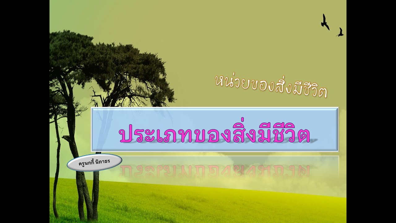 ประเภทของสิ่งมีชีวิต ม 1 ครูนิภาธร