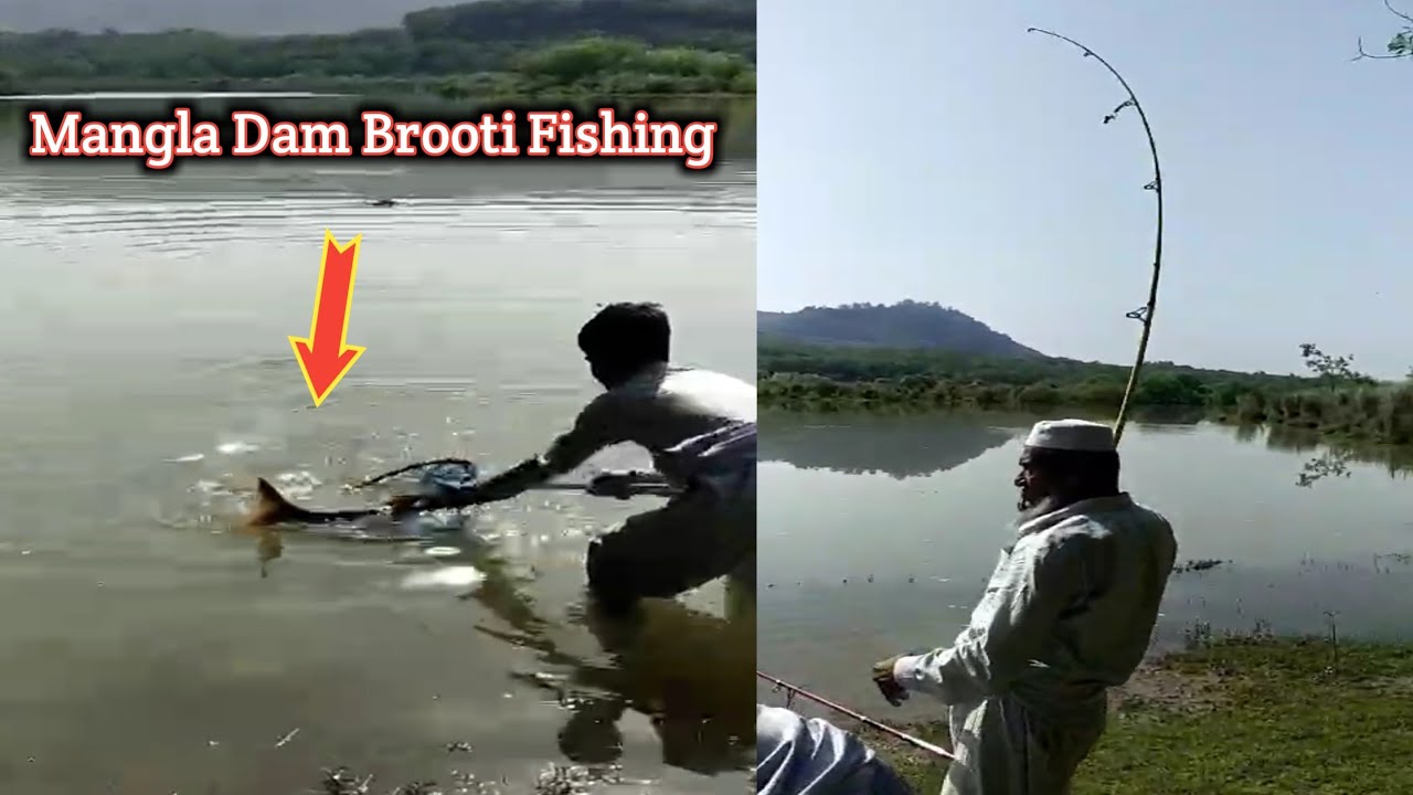 Mangla dam brooti fishing|Big size fishing at mangla dam brooti|Brooti latest fishing|@FISHING_INFO