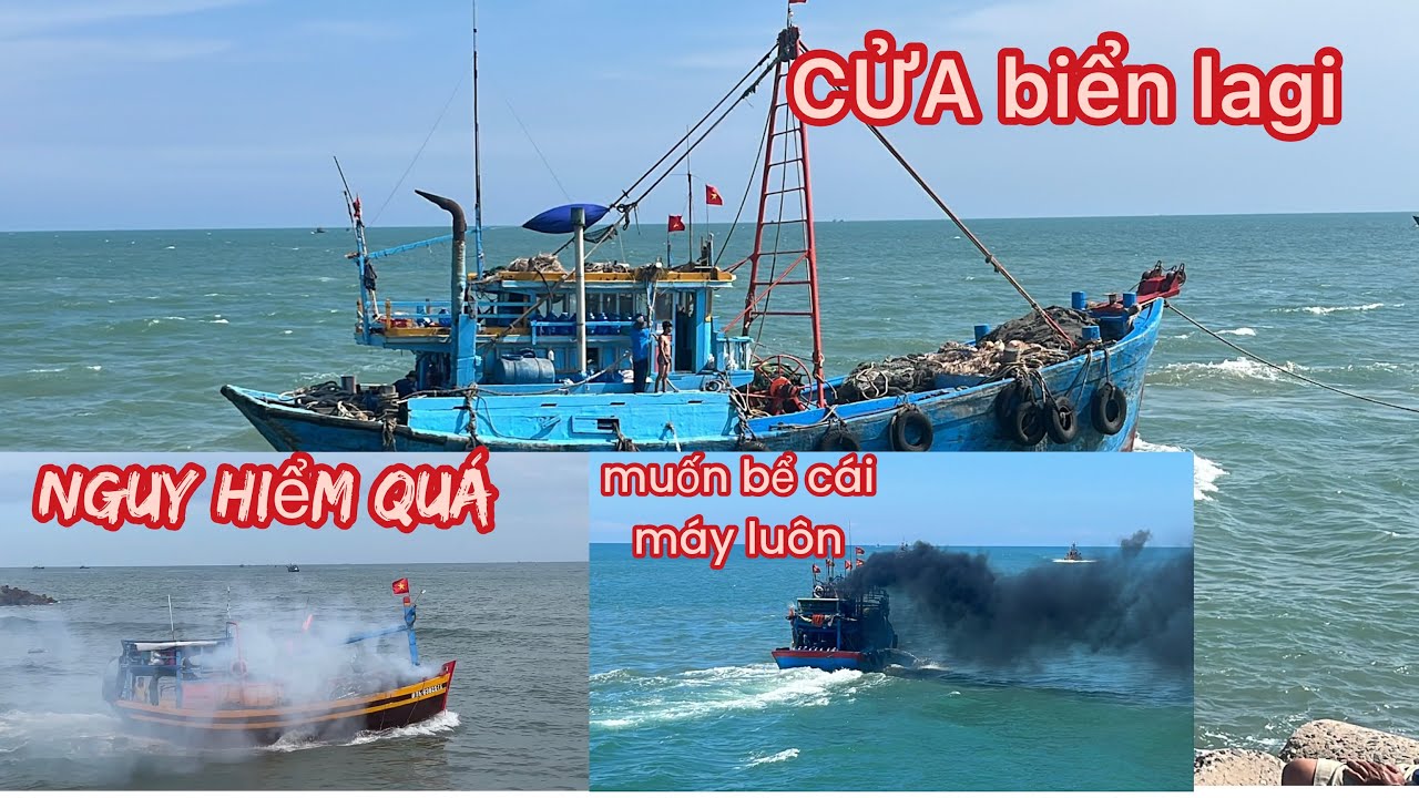 giã cào đôi tranh nhau chạy biển tại cửa biển lagi 