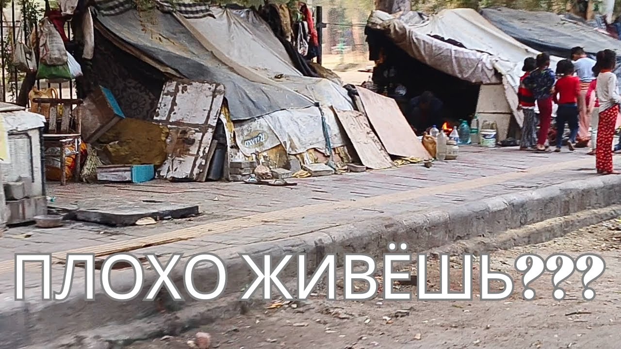 Как здесь выжить ? 