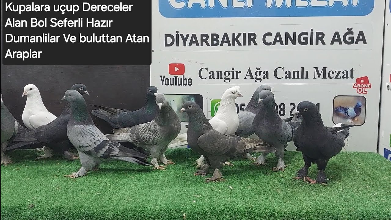 Kuparalara uçup Derece yapan Bol seferli Dumanlilar ve buluttan Atan Araplar Pazartesi saat 21:00