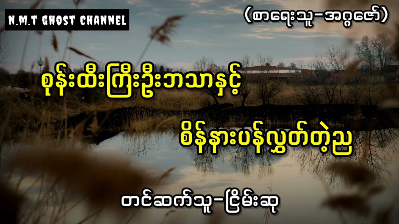 စုန်းထီးကြီးဦးဘသာနှင့်စိန်နားပန်လွှတ်တဲ့ည