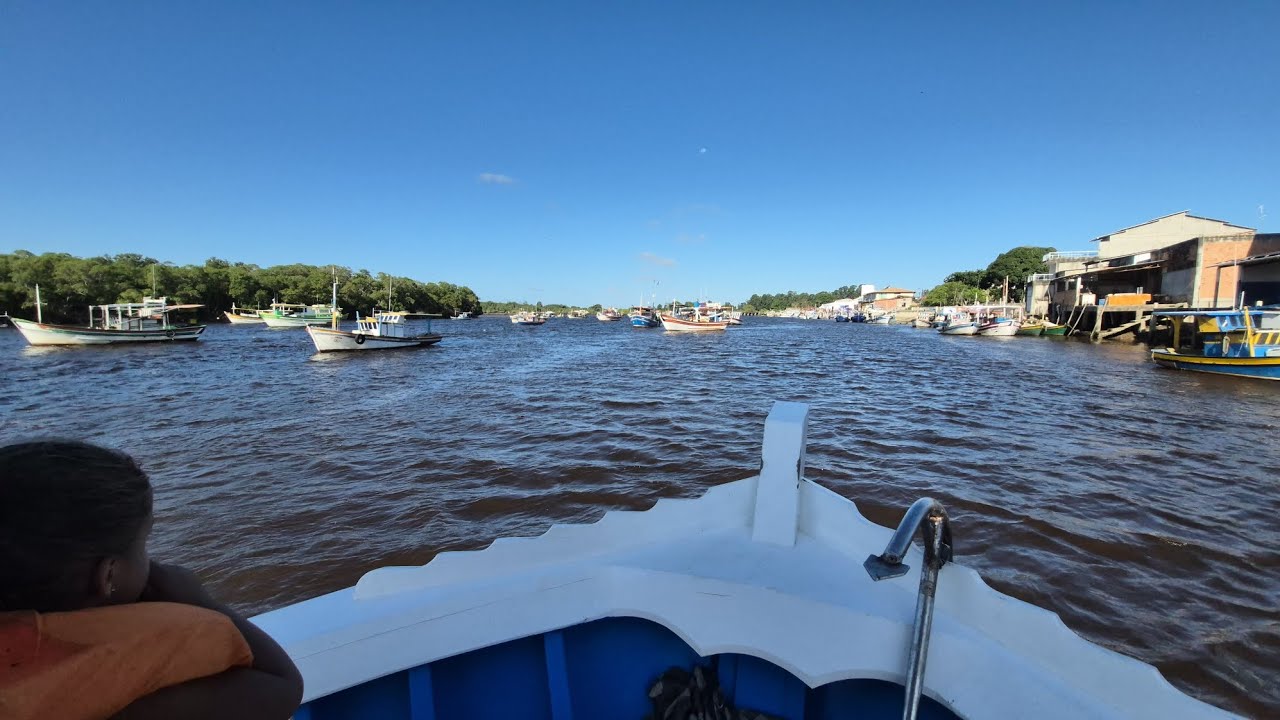 Andamos de barco e pegamos no filhote de tubarão 