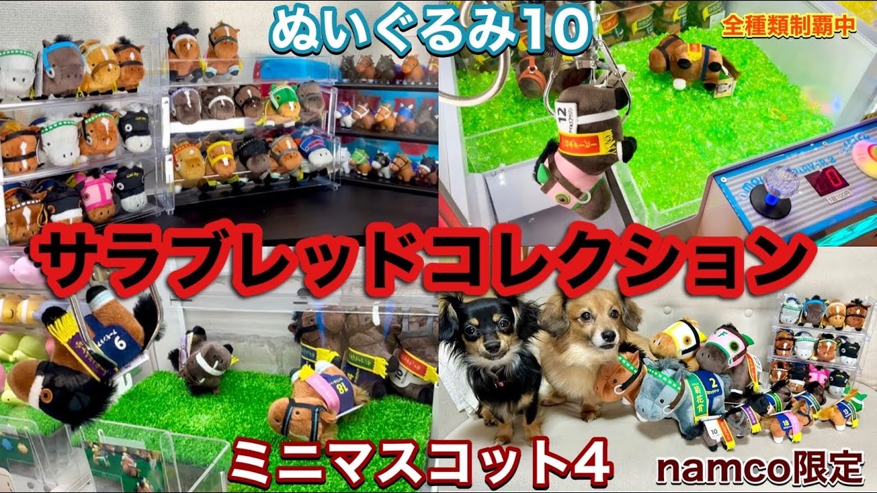 サラブレッドコレクション#28～ぬいぐるみ10🏇namco限定ミニマスコット4🧸初登場のウマたちも😉～