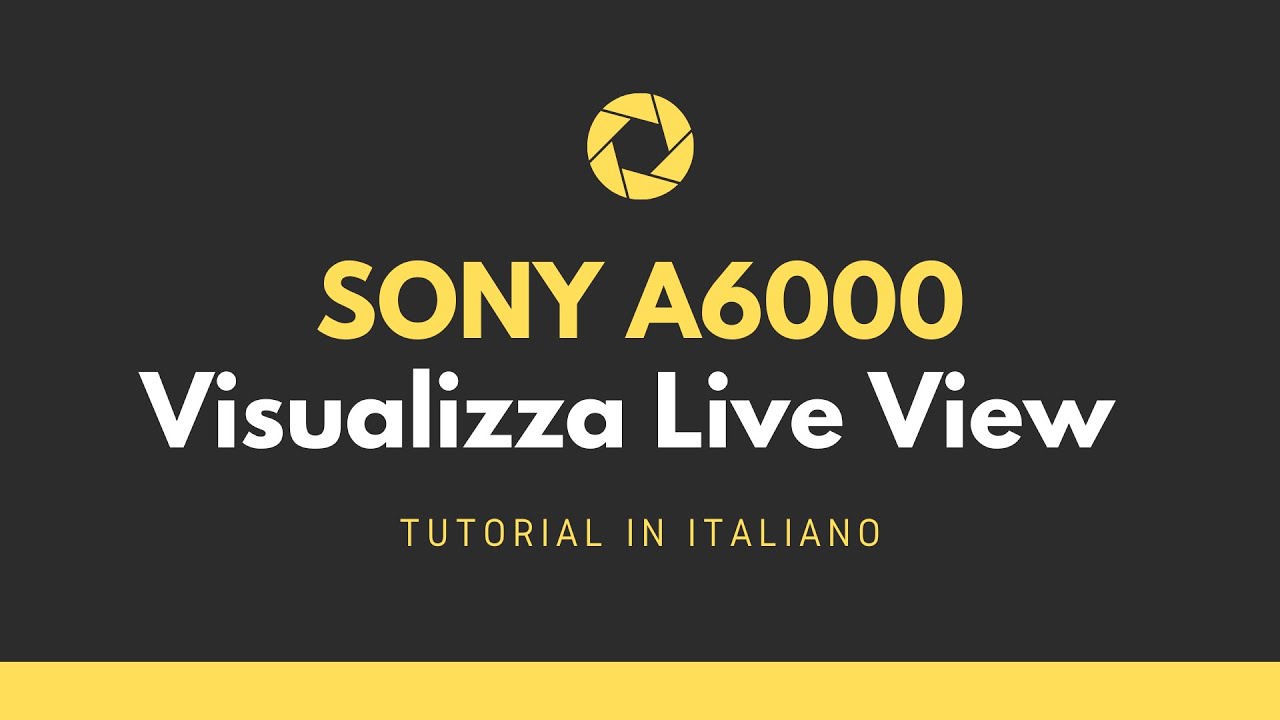 Sony a6000 Live View Display: Cos'è e Come Funziona (ITA)