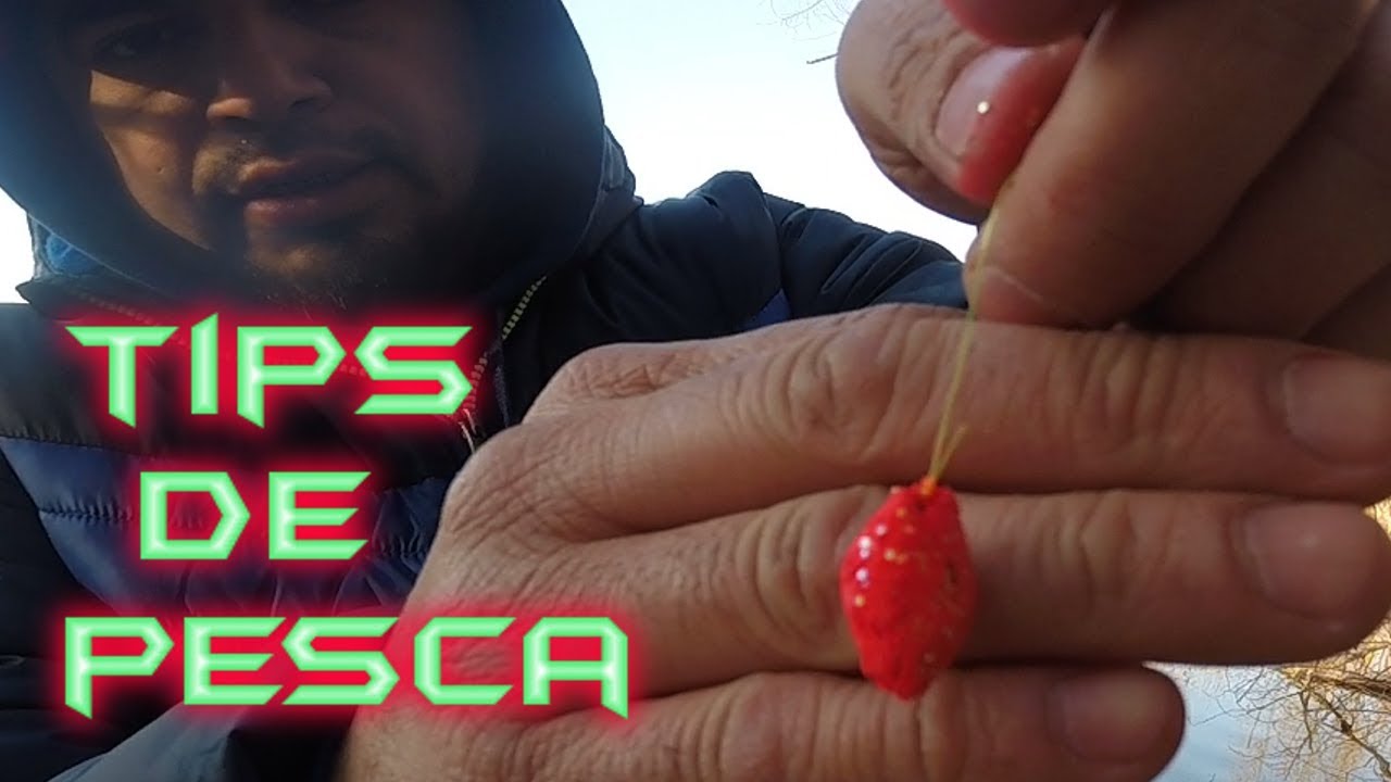 Trucos y técnicas que uso para pescar truchas en lagos y ríos/consejos para pescar truchas grandes