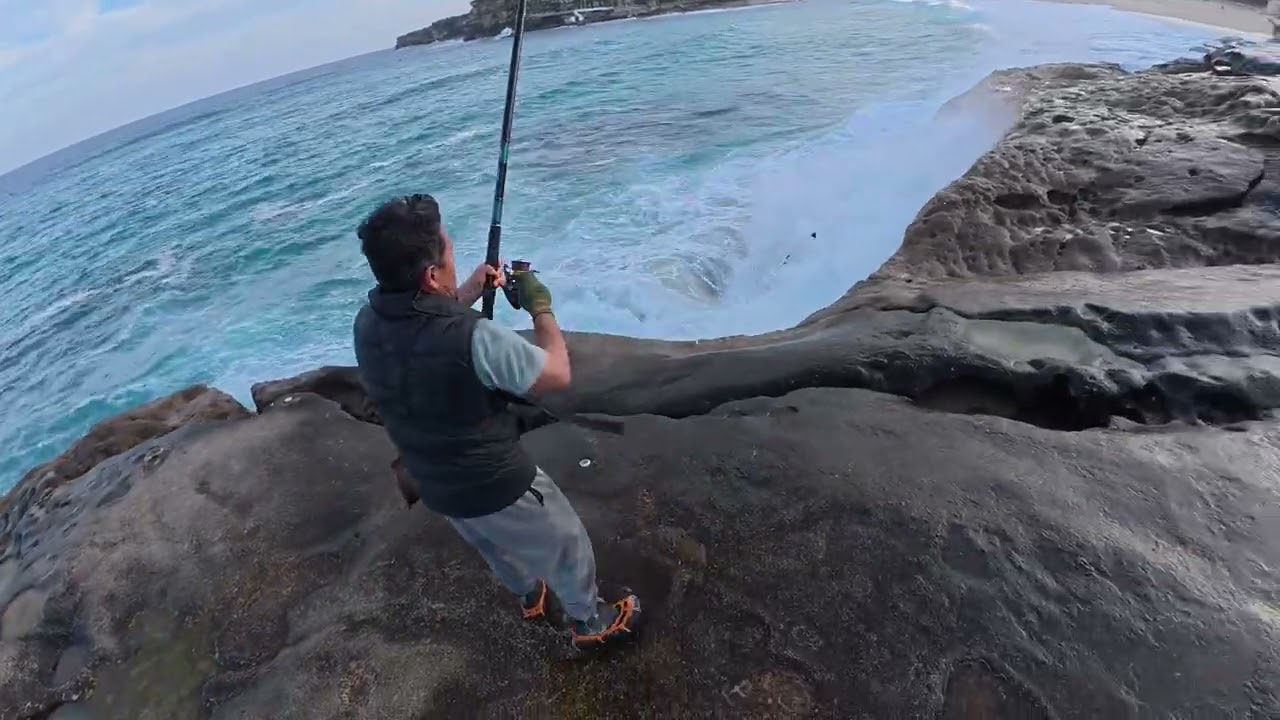 Sydney rock fishing ￼|| Australian 🇦🇺 