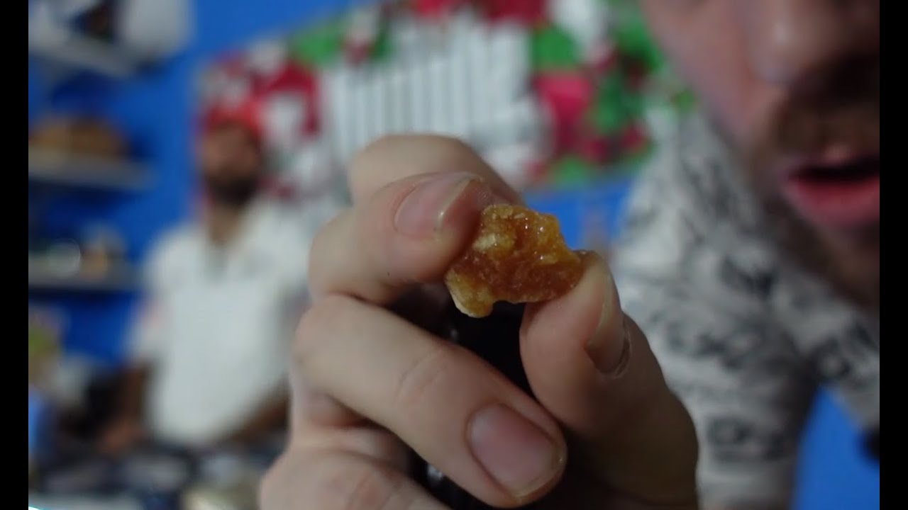 Catando extracciones de y flor de CBD con Tete Weeras , Bichomalo y Danman 🌱