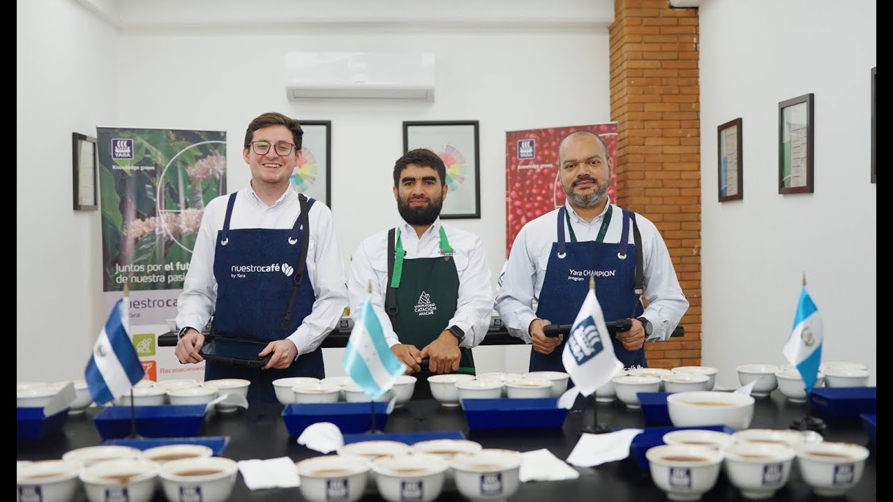 Vive el proceso de la catación de café del Yara CHAMPION program en Guatemala 2025