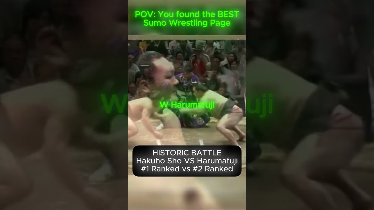 POV: You found the BEST SUMO WRESTLING PAGE  |  Hakuho Vs Harumafuji #4 