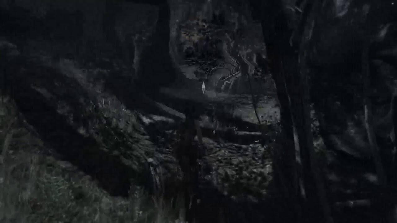 Saturday Tomb Raider ?!!!
