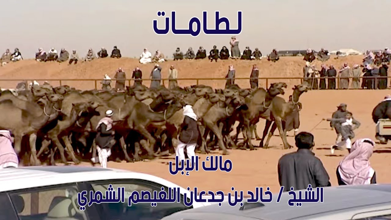 مسيرة منقية لطامات | مالك الإبل الشيخ / خالد بن جدعان اللغيصم الشمري ( 2011 م )