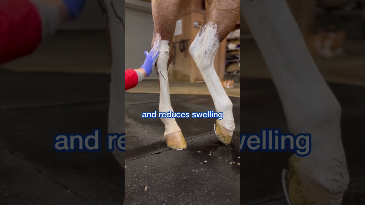 We love a good clay poultice for better recovery for our horses!