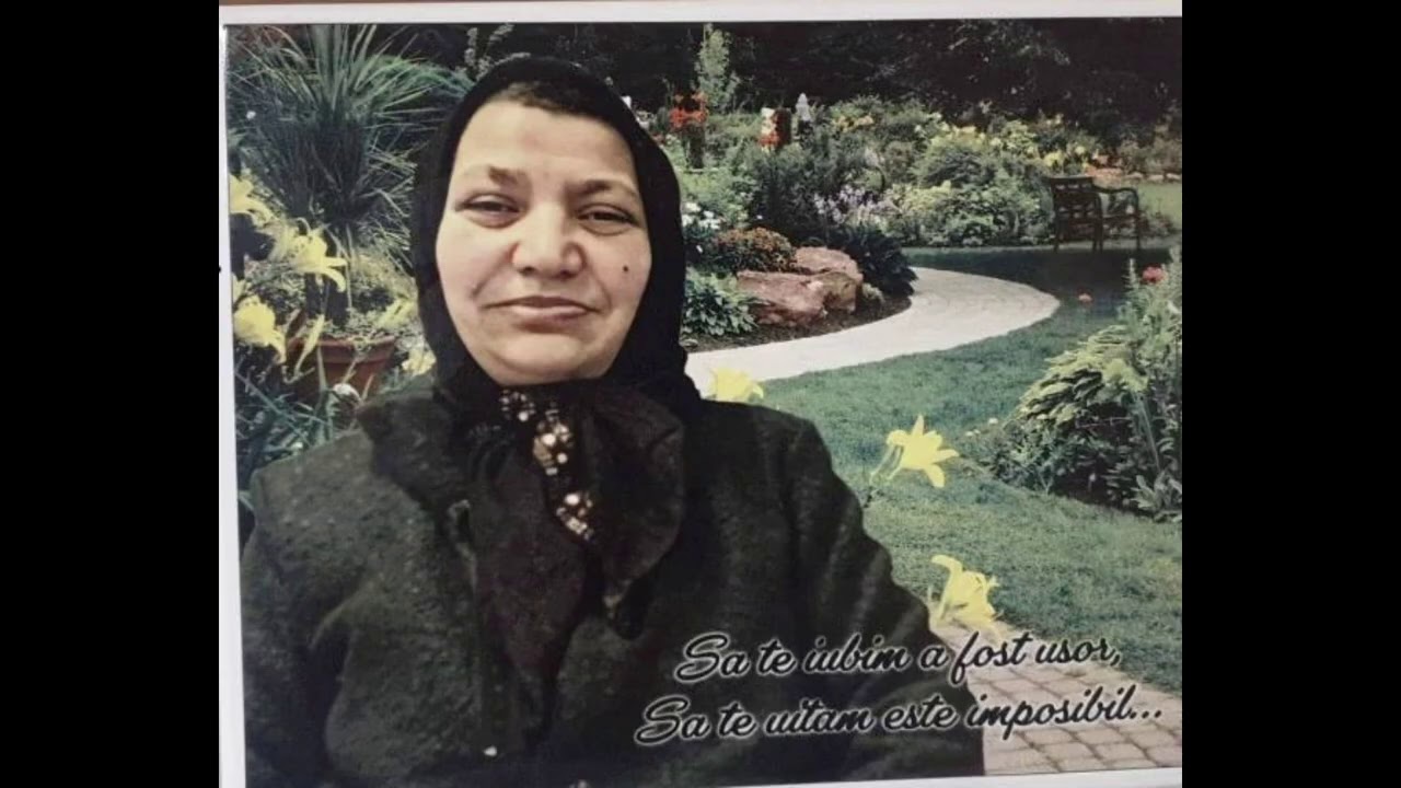 Stefan de la Barbulesti ❌ Mama noastra o icoana ❌ 2021