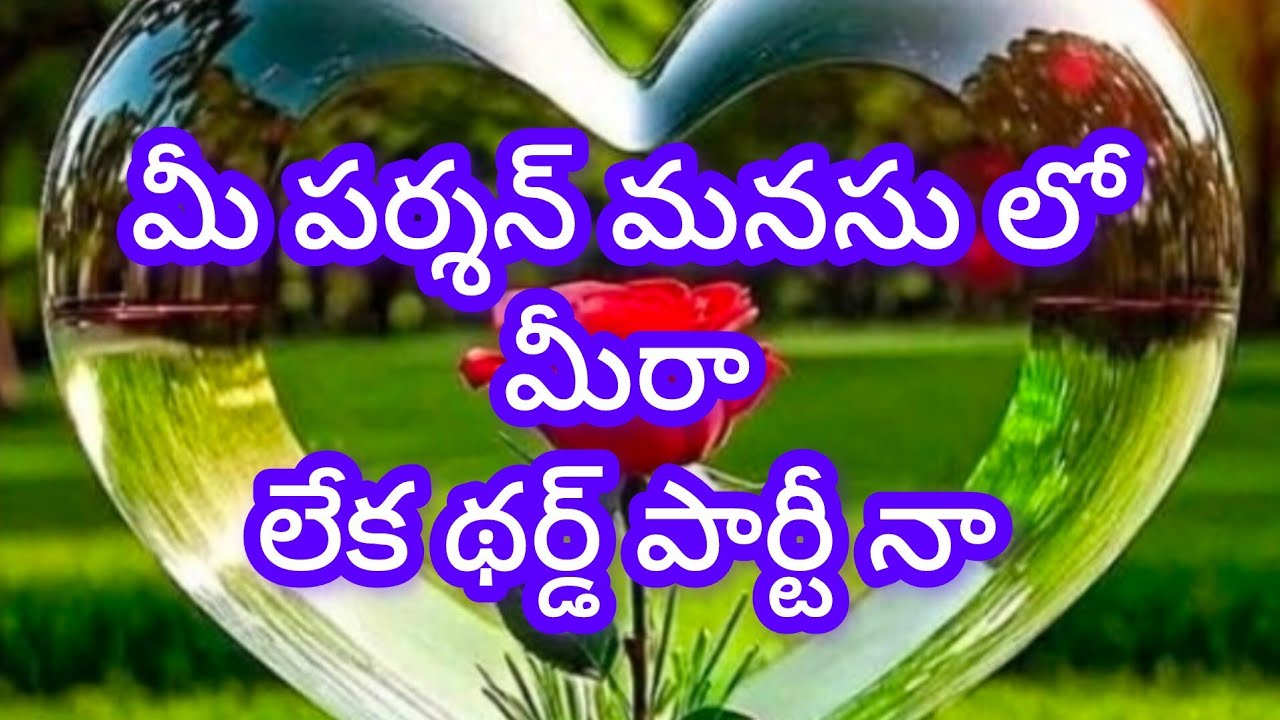 💯💞మీ పర్శన్ మనసు లో మీరా లేక థర్డ్ పార్టీ నా 🦋🤔 Tarot reading today 