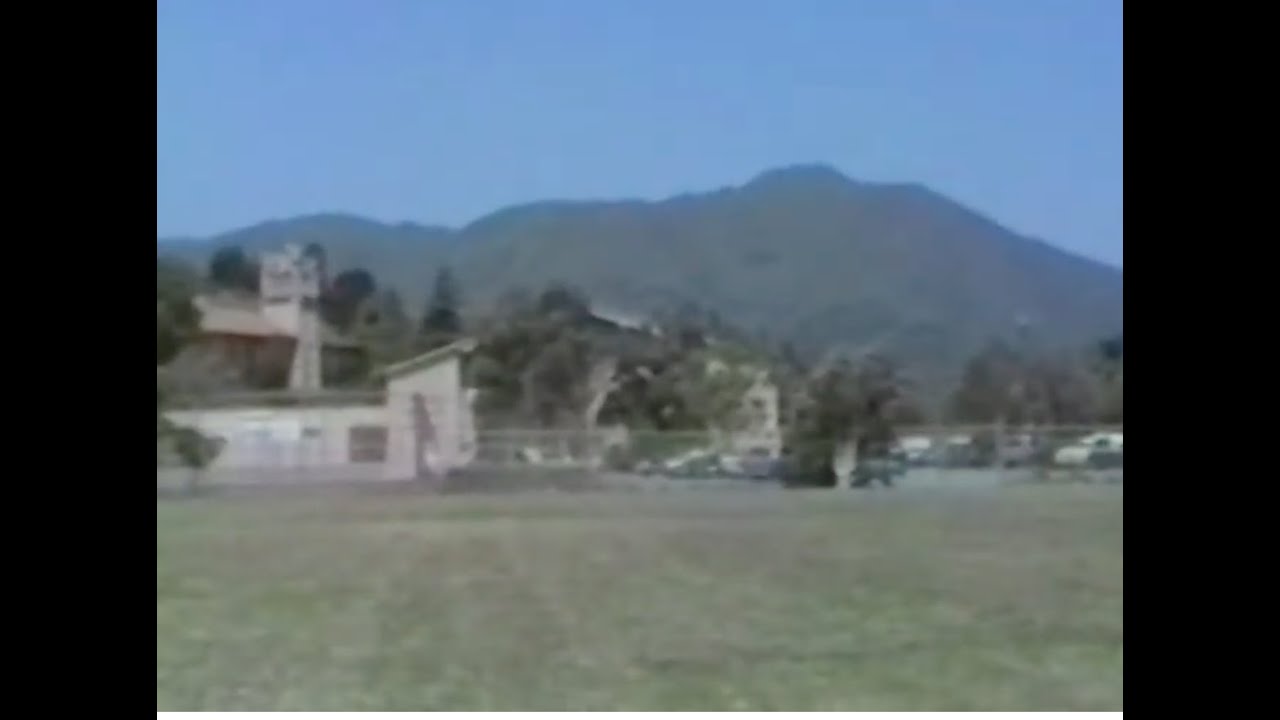 Tamalpais High School class of 1977  10 year reunion look back