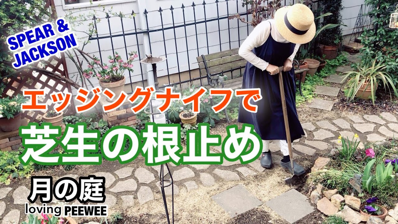 エッジングナイフで芝生の根止め
