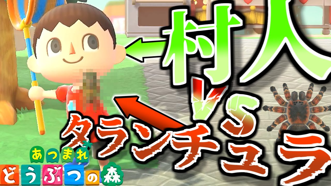 【あつ森】村人 vs タランチュラ【あつまれ どうぶつの森】