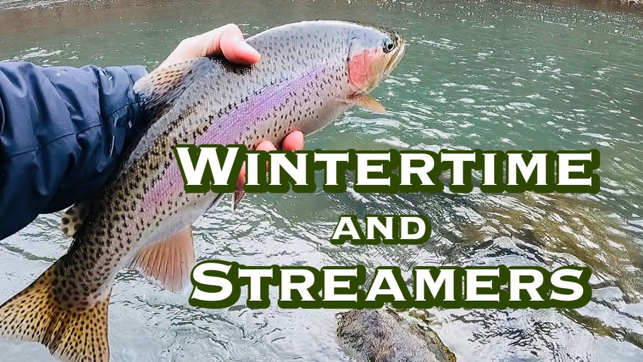 FANTASTIC Winter Streamer action (Euro Style)