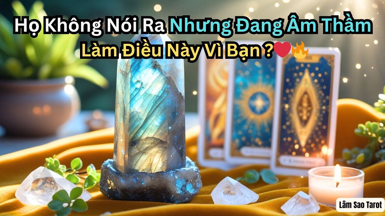 🔥 Họ Không Nói Ra Nhưng Đang Âm Thầm Làm Điều Này Vì Bạn — Sự Thật Khiến Bạn Bất Ngờ!  #tarot