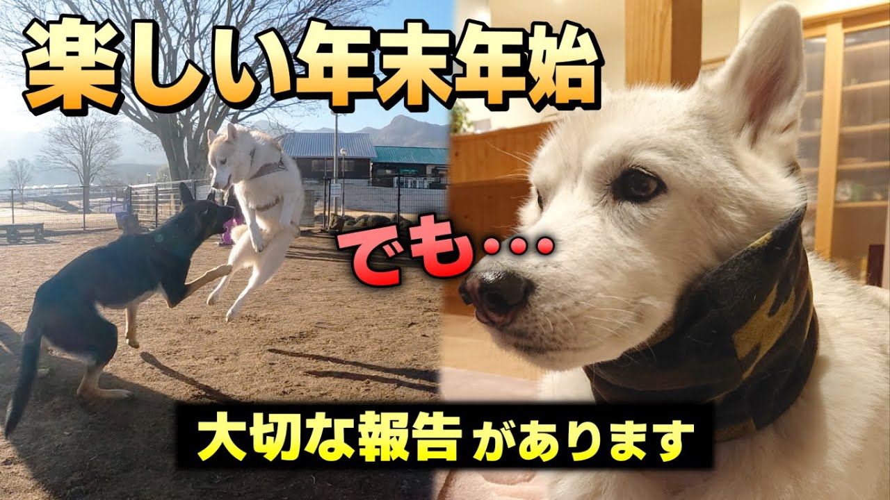 「楽しすぎた年末年始…でも最後に報告があります」