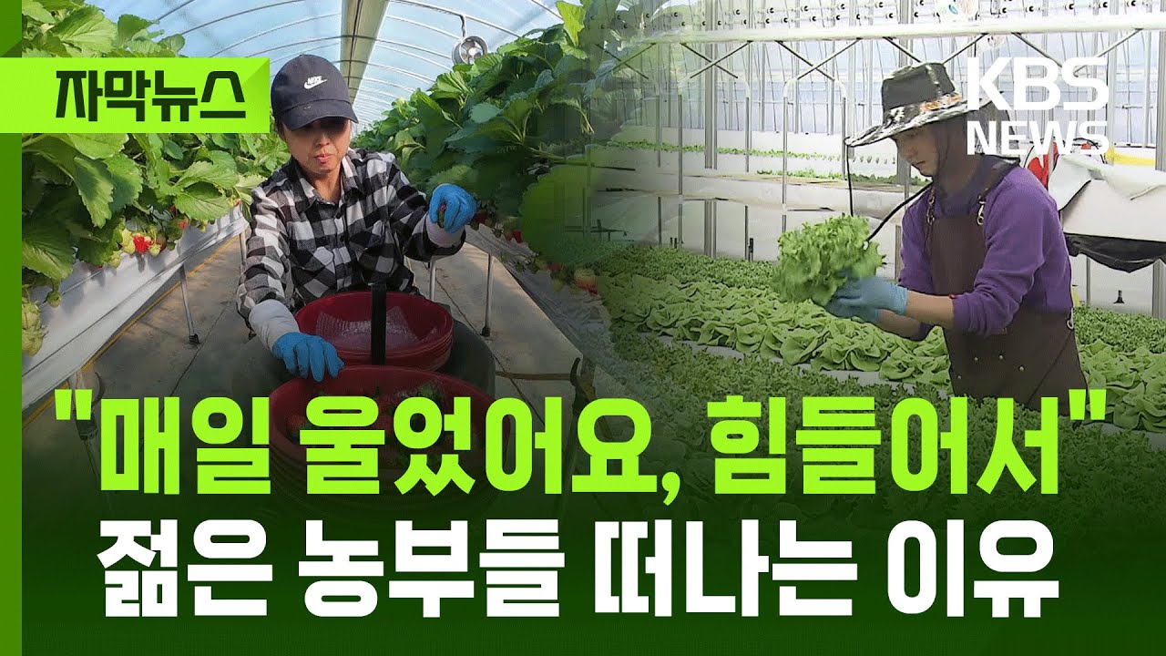 [자막뉴스] 