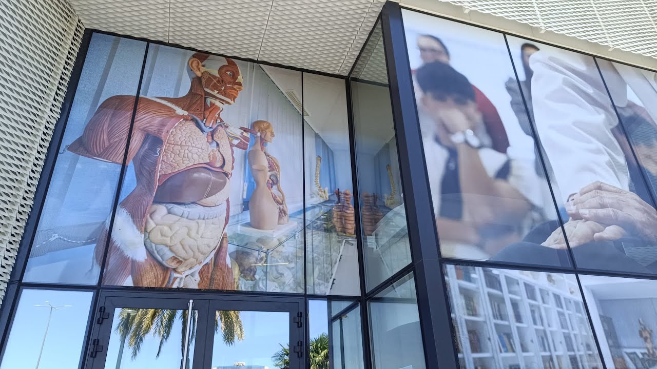 Máster Oficial en Osteopatía de la Universidad de Murcia