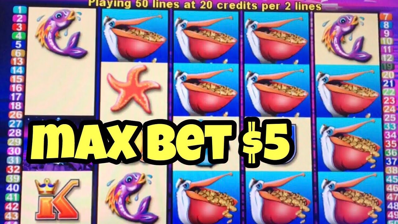 ***PELICAN PETE $5 MAX BET*** BIG WIN BONUS and More BONUS GAMES