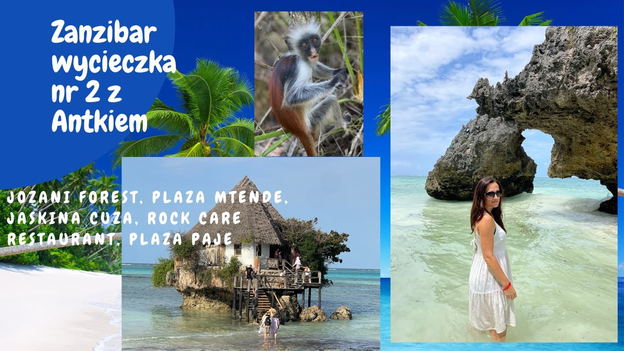 Co warto zobaczyć na Zanzibarze? Jozani Forest, Mtende, Cuza, Rock Cafe , wakacje z dzieckiem
