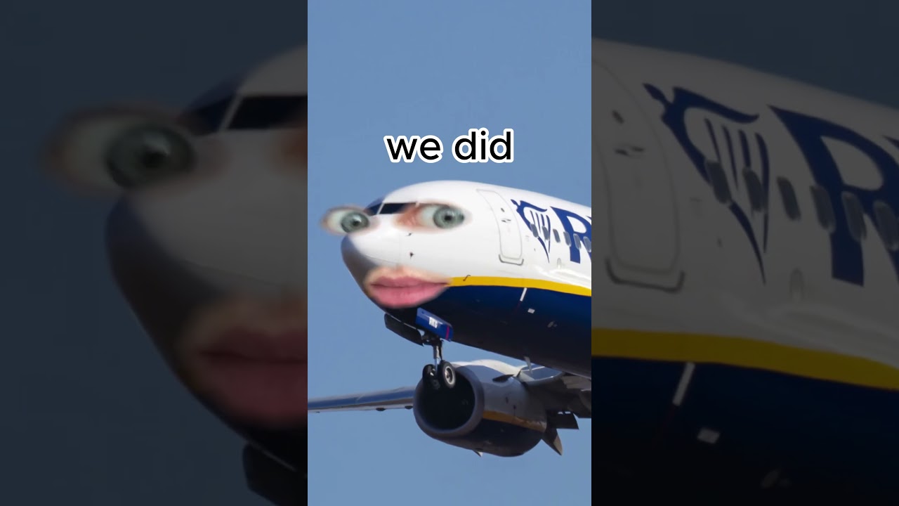 это твоя вина 🤦 #ryanair #stitch w/ rae