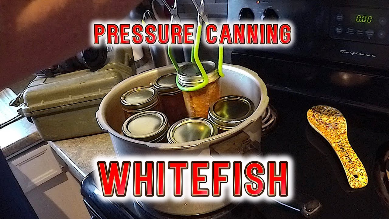 Pressure Canning Whitefish (How-to)