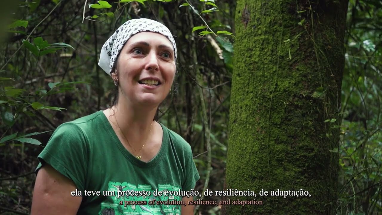 Serra do Japi: oásis de biodiversidade e ecologia próximo a São Paulo