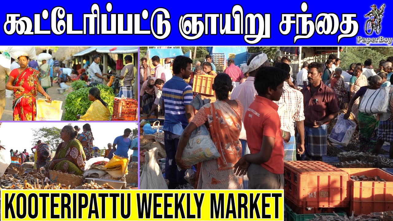 கருவாடு சந்தை | கூட்டேரிப்பட்டு ஞாயிறு சந்தை | Kootteripattu Sunday Market | @PaperBoyDrama