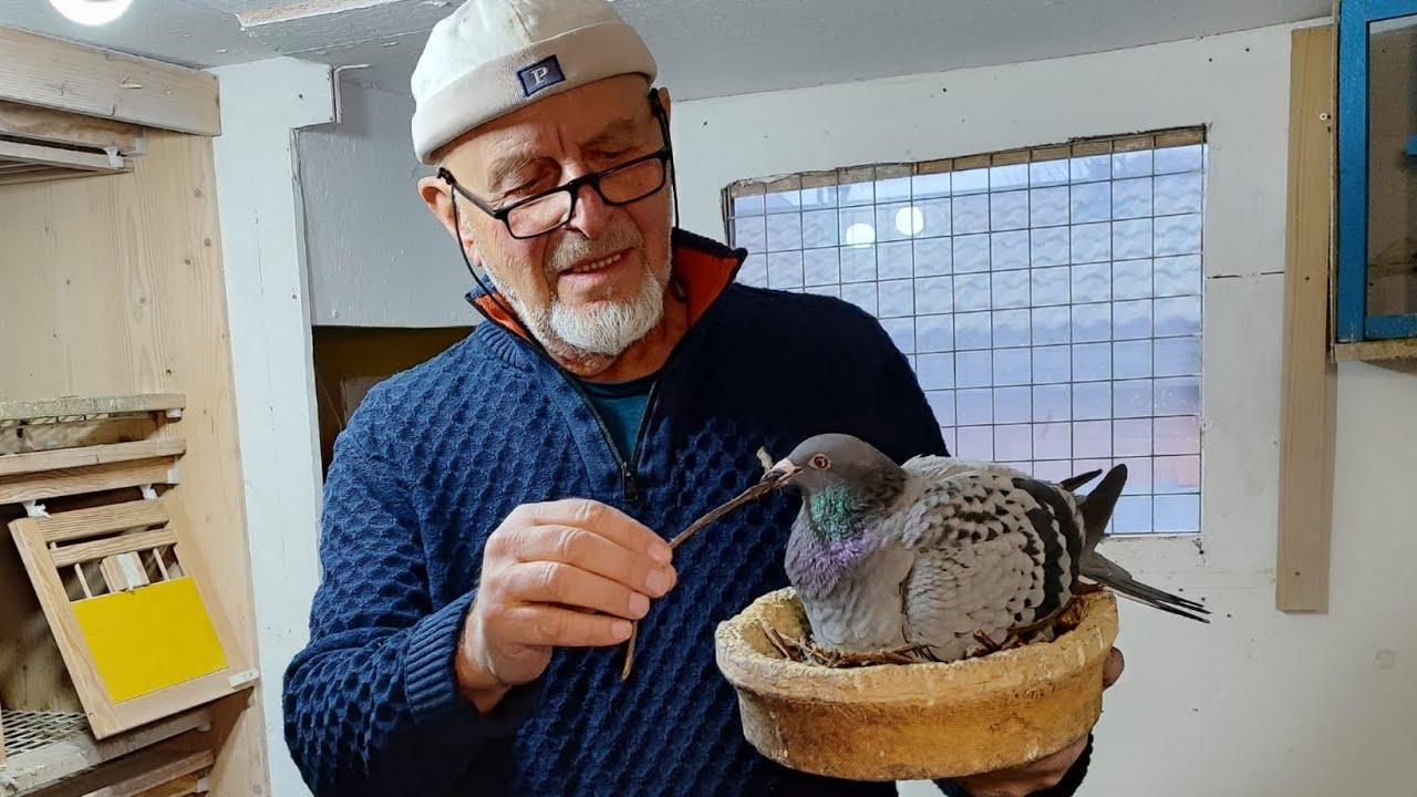 Jahrgang 2025 als Ei im Nest