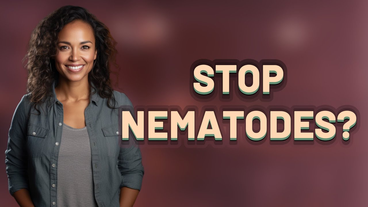 Can Marigold Companion Planting Stop Nematodes?