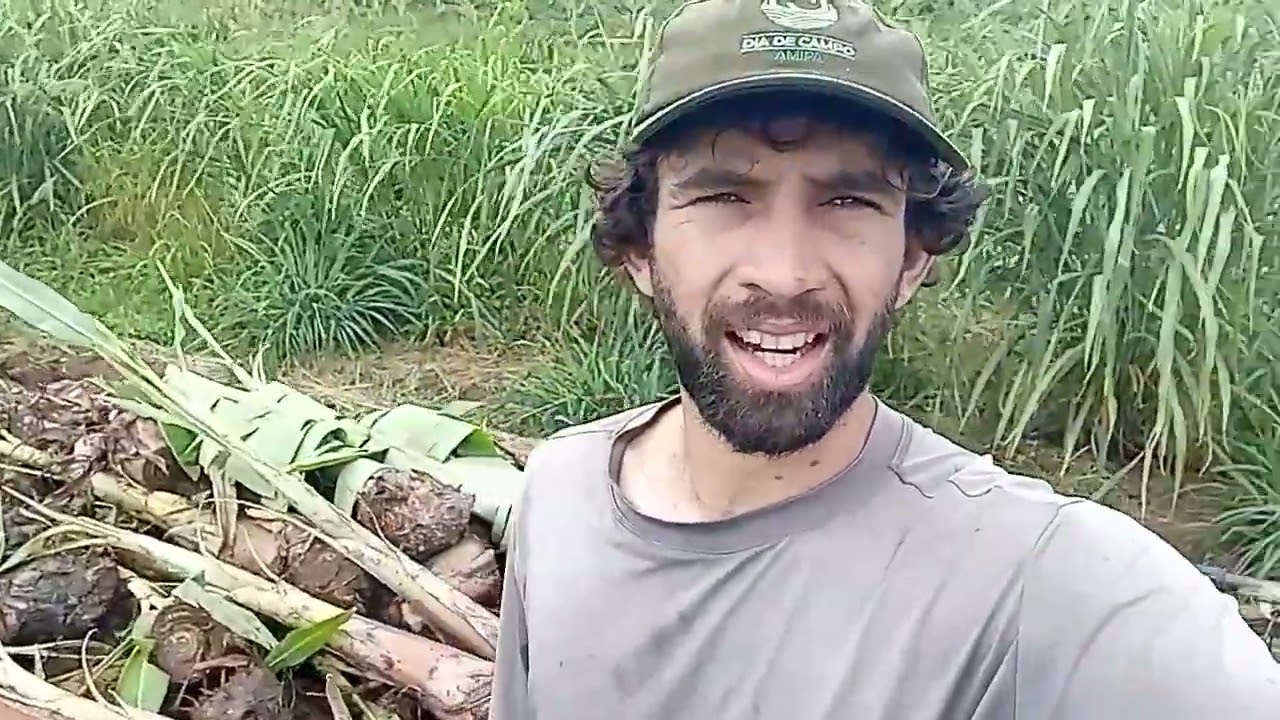 T.2 - EP.02 Plantio da banana 