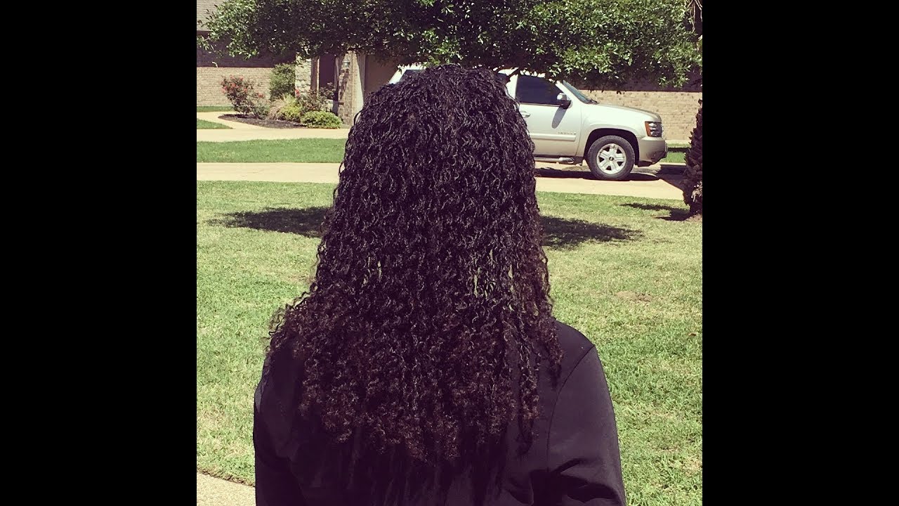 Sisterlocs 6 weeks update {1st retighten}