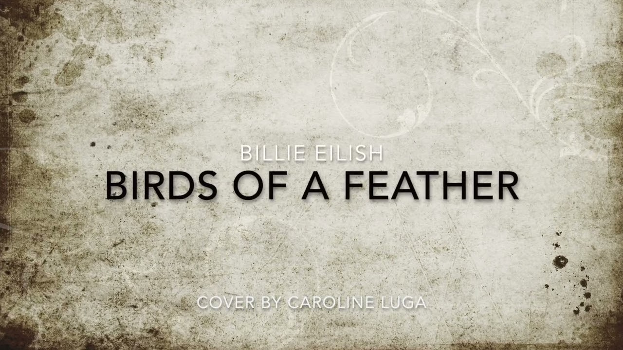 Birds of a feather-- Billie Eilish cover