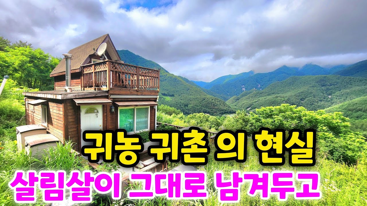 전망좋은 산 꼭대기 좋은집 살림살이 그대로 남겨두고 자연인 은 떠났다네