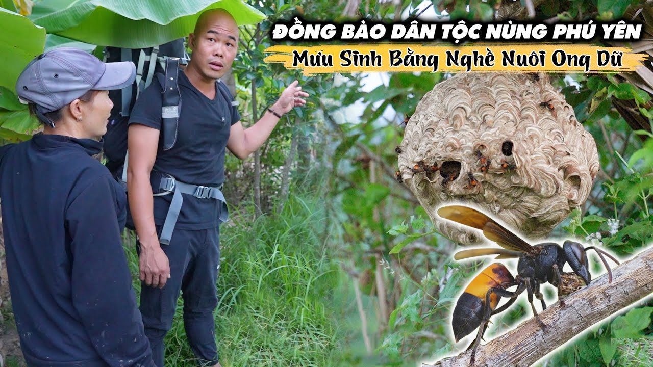 NGƯỜI ĐỒNG BÀO ĐÂN TỘC NÙNG, NUÔI ONG NGUY HIỄM NHẤT THẾ GIỚI ĐỂ LÀM GÌ ?