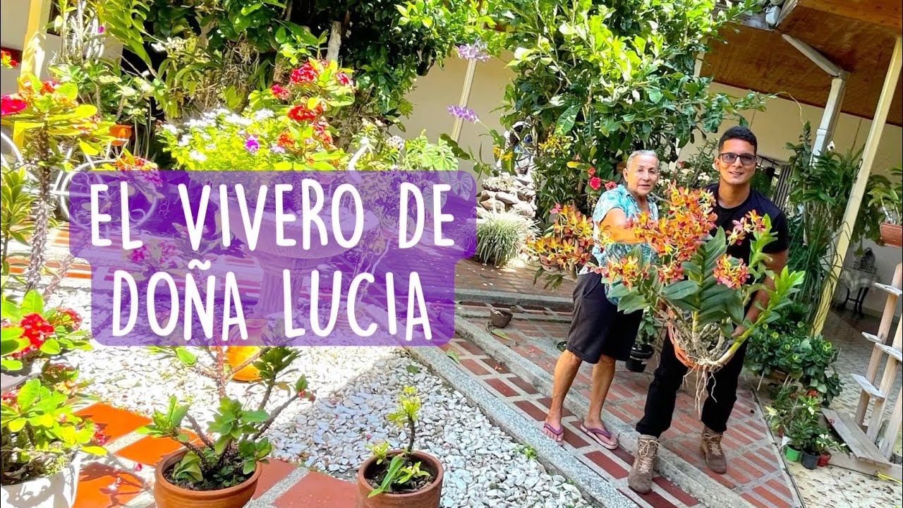 El VIVERO DE ORQUÍDEAS DE DOÑA LUCIA 😱