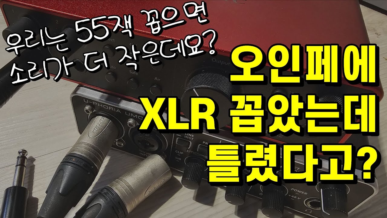오인페에 XLR연결하면 생기는 일 #오인페 XLR #음향계의_픽플러스 #TRS