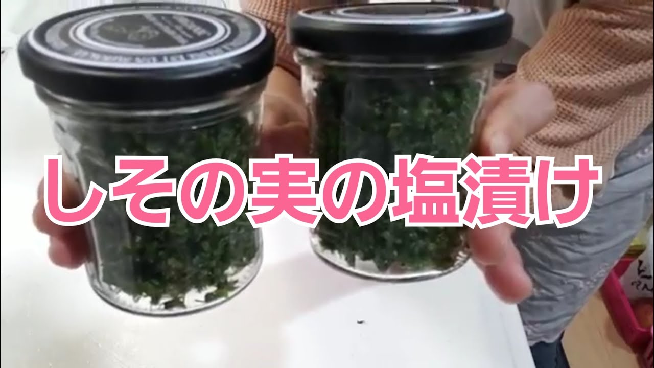 【料理】紫蘇の実の塩漬け