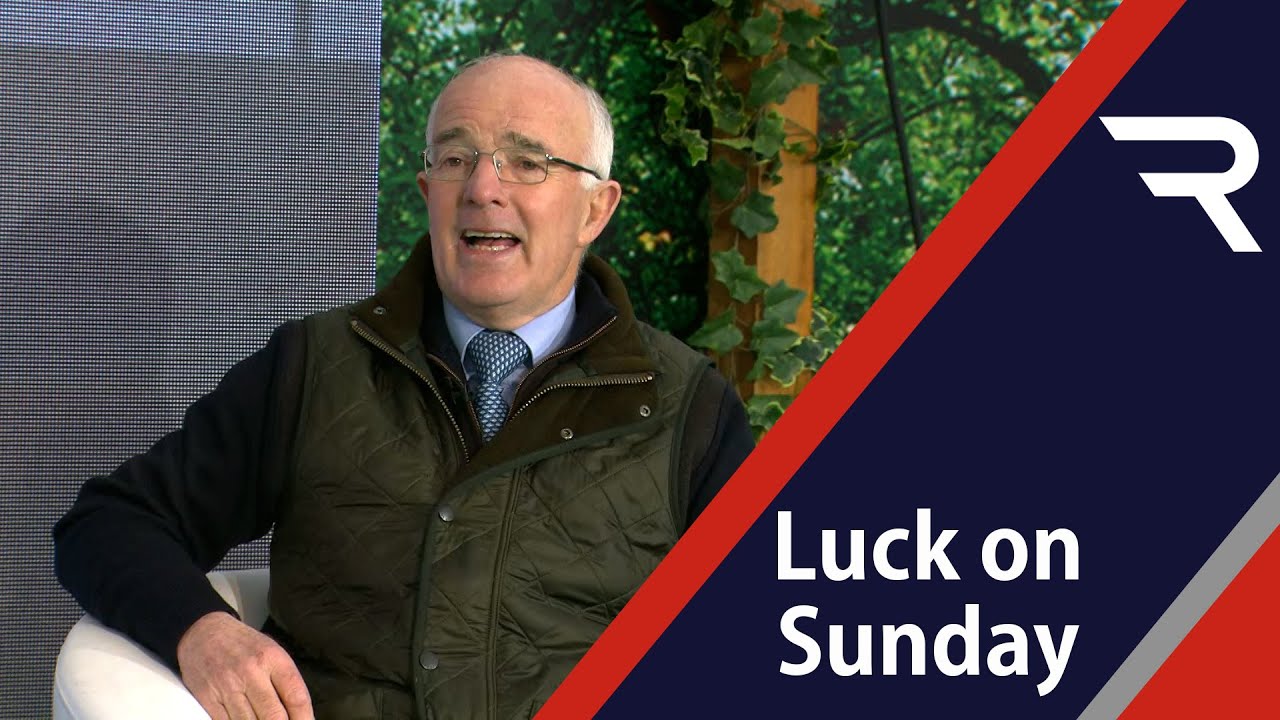 TED WALSH: Pearls of wisdom from the maestro! - Racing TV