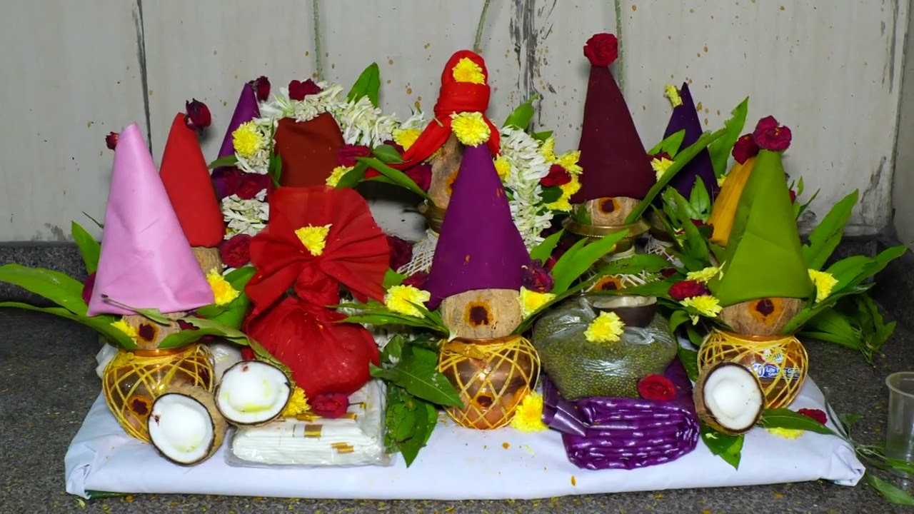 Sri Govinda Swamy Stotrams Audio Lunching by HH Sri Sri Sri Pushpagiri Sankaracharya Swamyji